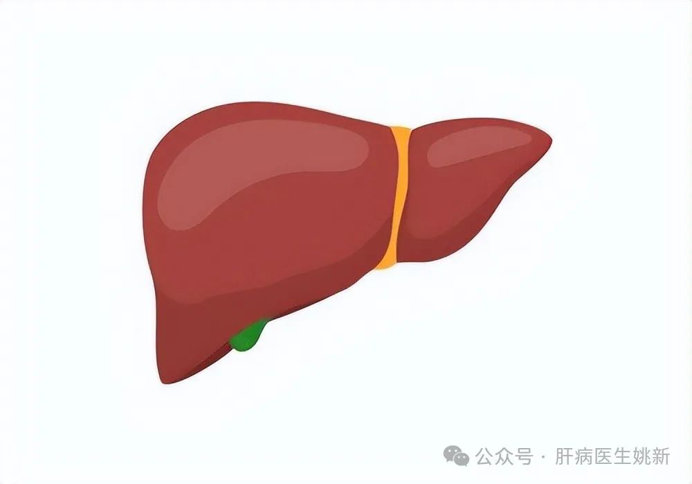 Two 'Blood-Nourishing Generals' to Revitalize Your Liver