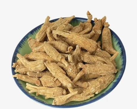 Daily Learning of a Chinese Herb: Angelica Sinensis
