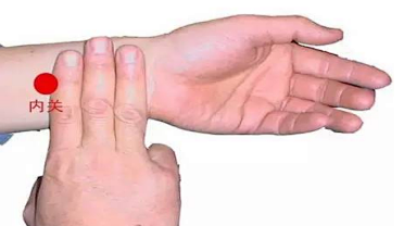 Nurturing the Five Organs for Harmonious Functioning of the Six Bowels