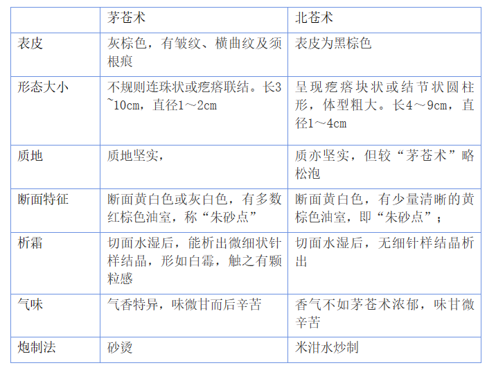 A Comprehensive Overview of Atractylodes (Cang Zhu) and Its Medicinal Value