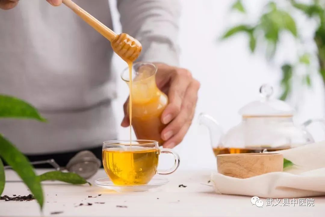Weekly Herbal Insights: Understanding Honeysuckle in TCM