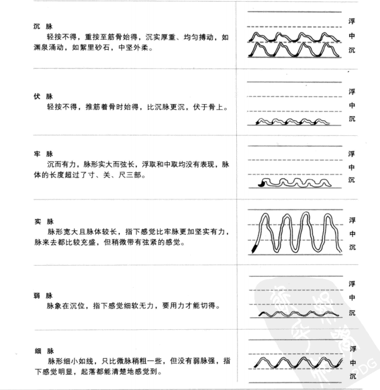 Differences Between Chen Mai (Deep Pulse) and Similar Pulses: How to Distinguish Them?
