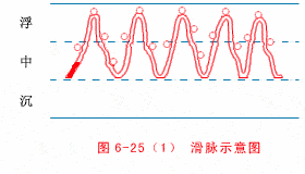 The Wonders of the Twenty-Eight Pulses in Traditional Chinese Medicine: Understanding Pulse Diagnosis (Part 1)