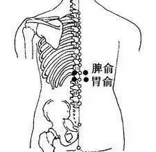 Spleen Yang Deficiency Syndrome in Traditional Chinese Medicine