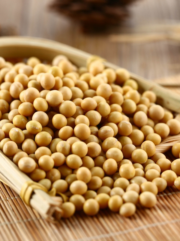 How to Nourish Individuals with Qi Deficiency Constitution?