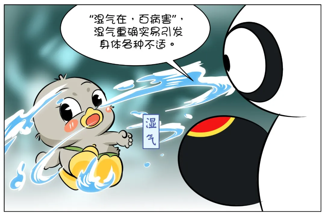 Guide to Eliminating Dampness in Traditional Chinese Medicine