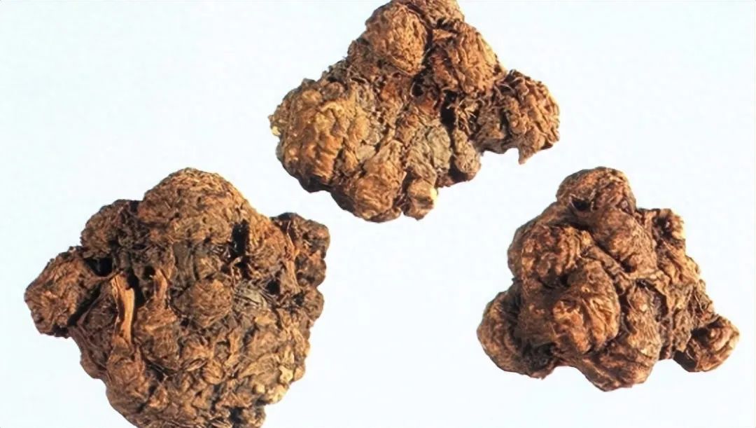 Identification of the Chinese Herbal Medicine Chuanxiong