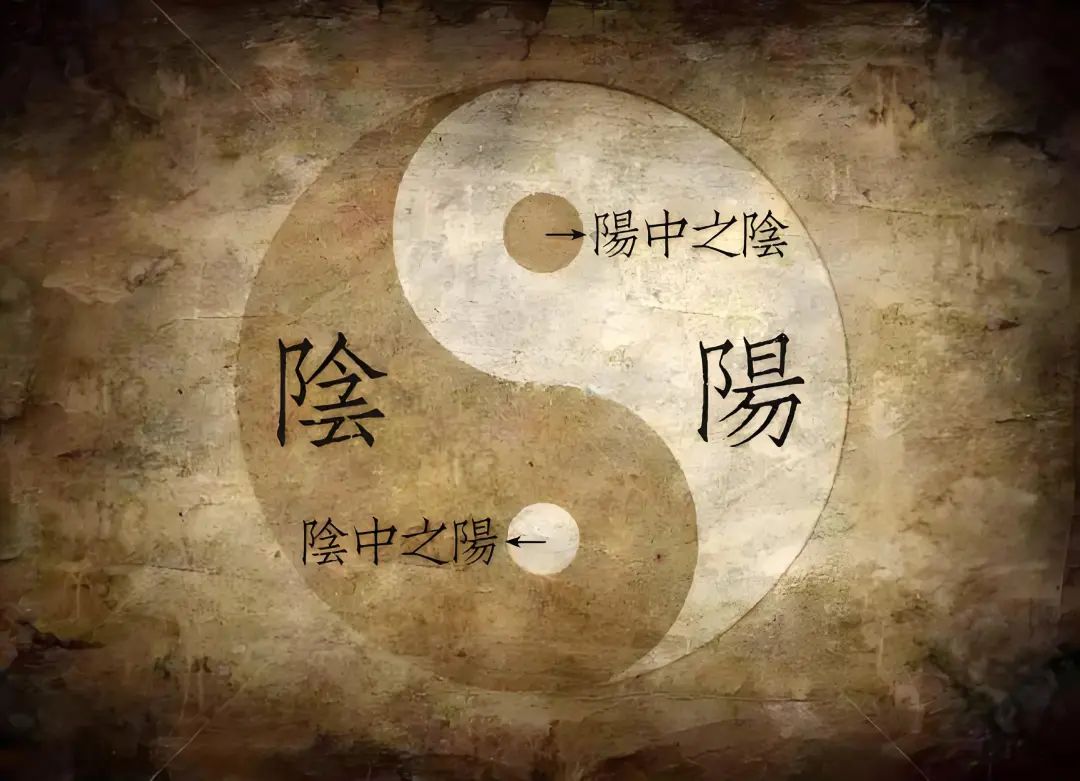 Ni Haixia: Balancing Yin and Yang to Revitalize Health!