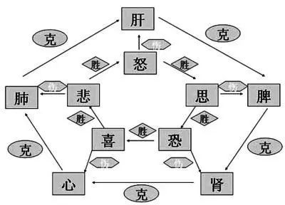 The Relationship Between 'Seven Emotions and Six Desires' and the Five Organs in Traditional Chinese Medicine