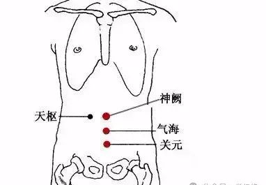 Common Acupuncture Points in Traditional Chinese Medicine for Reference