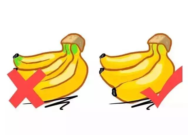 Fruits Classified by Cold and Heat: Eating According to Body Constitution