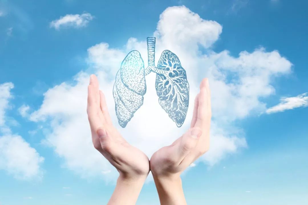 Understanding the Roles of Our Organs in Traditional Chinese Medicine