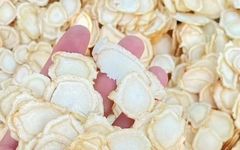 Methods of Consuming Ginseng