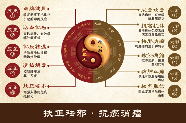 Traditional Chinese Medicine in Cancer Treatment: What are Supporting the Right Qi, Eliminating Pathogenic Factors, and Regulating the Organs?