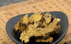 Understanding Atractylodes (Cang Zhu) in Traditional Chinese Medicine