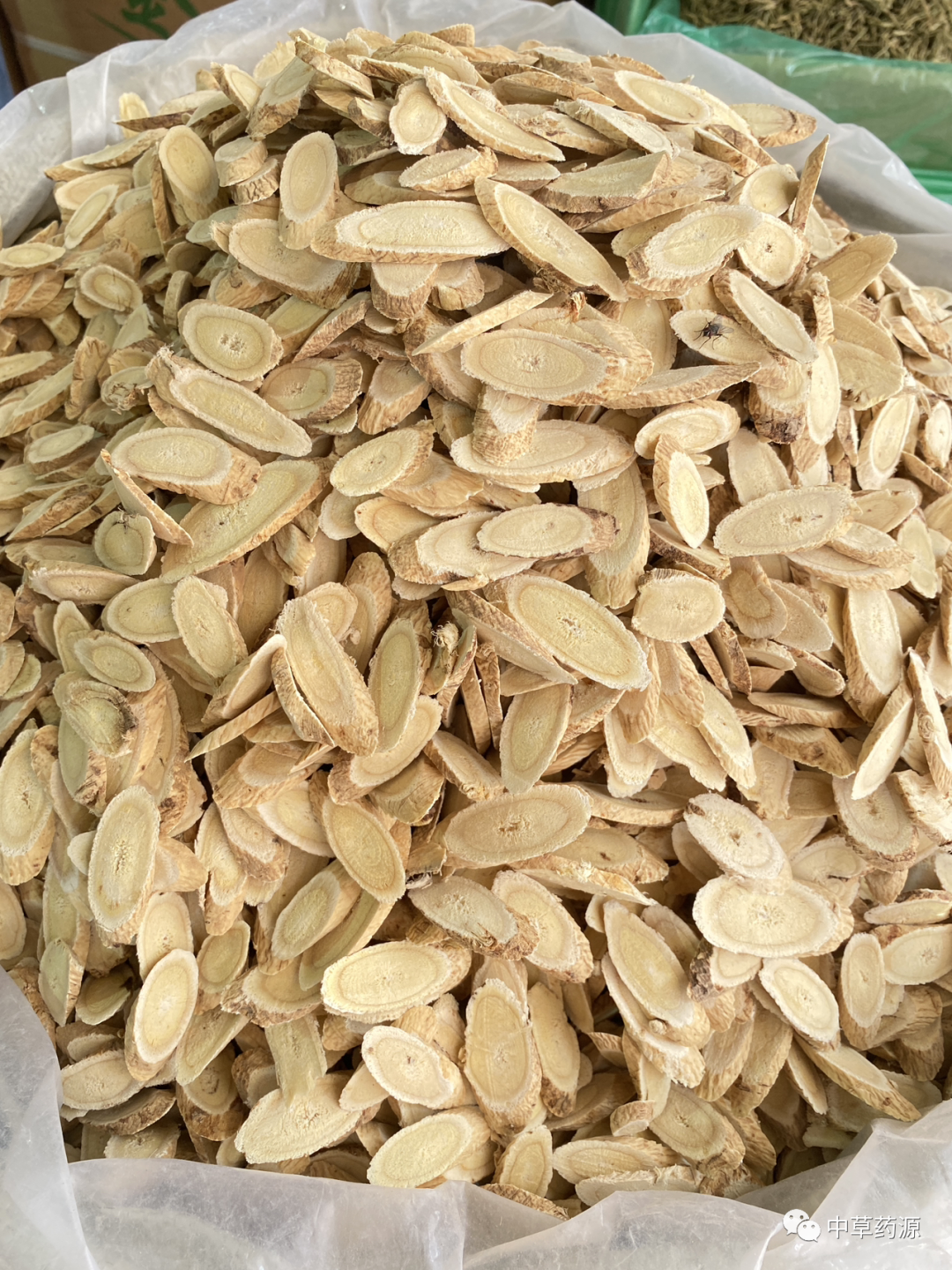 Appreciation of Traditional Chinese Medicine: Huangqi (Astragalus Root)