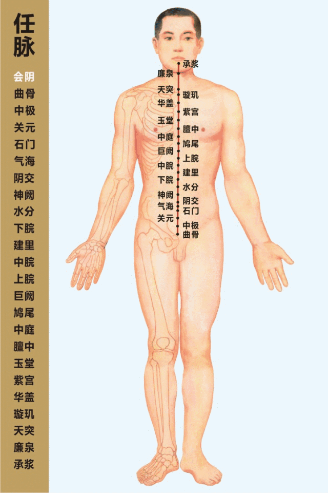 Four Vital Meridians for Women: Ren Mai, Du Mai, Chong Mai, and Dai Mai Must Be Unblocked!