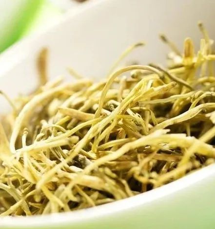 Knowledge of Chinese Herbs: Honeysuckle
