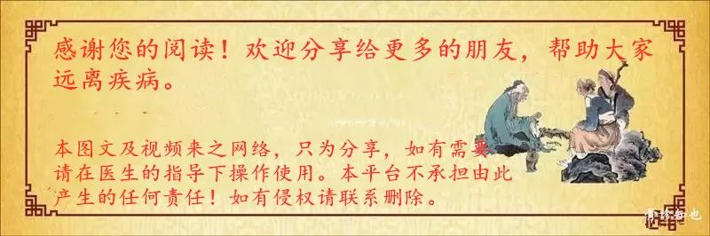 Daily Learning of Chinese Herbs - Honeysuckle