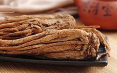 Angelica Sinensis (Dong Quai): A Comprehensive Overview