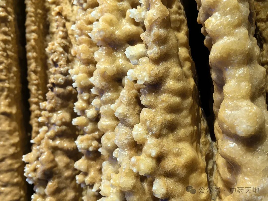 Stalactite in Traditional Chinese Medicine