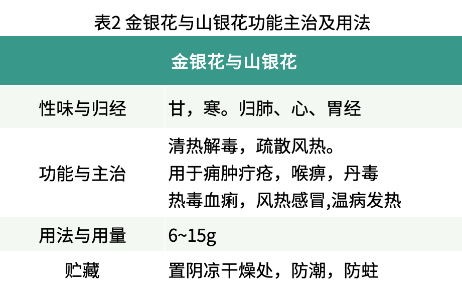 Distinguishing Between Jin Yin Hua and Shan Yin Hua in Traditional Chinese Medicine