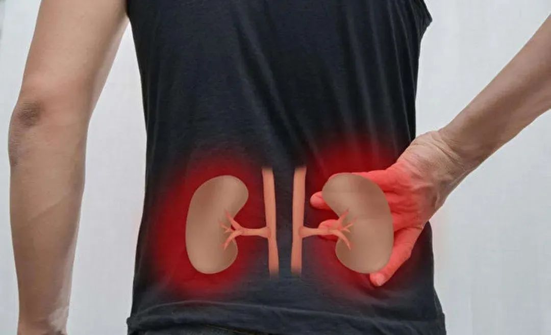 Four Types of Kidney Deficiency: Kidney Yin Deficiency, Kidney Yang Deficiency, Kidney Qi Deficiency, and Kidney Essence Deficiency - How to Choose the Right Herbal Medicine