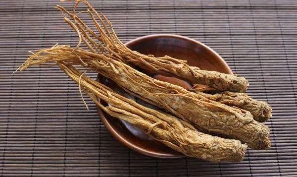 Angelica Sinensis: The 'King of Herbs' and the 'Top Blood Nourishing Herb'!