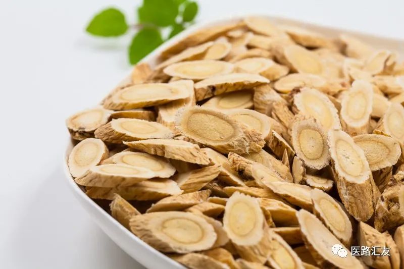 Daily Herb: Astragalus (Huang Qi)