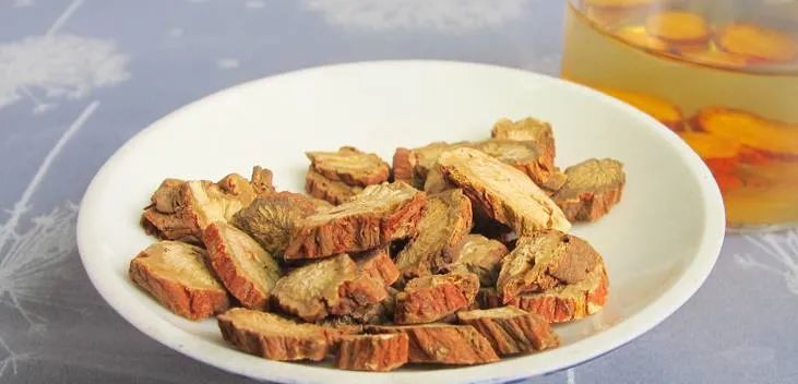 The Efficacy, Functions, and Contraindications of Dan Shen (Salvia miltiorrhiza)