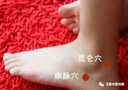 The Extraordinary Eight Meridians in Traditional Chinese Medicine