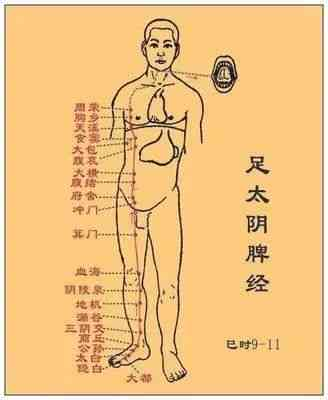 The Huangdi Neijing: Meridians, Determining Life and Death, Addressing Hundreds of Diseases