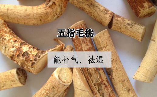The 'Guan Dong Ginseng': A Soup Ingredient for Dampness and Heat Relief Suitable for All Ages