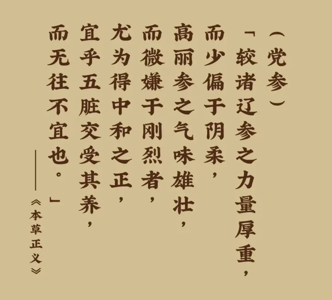 Dang Shen: The "Little Ginseng" for Nourishing Qi and Blood
