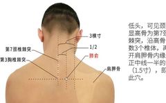 Phlegm-Dampness: Effectively Clear Lung Phlegm with One Acupuncture Point, Eliminating White, Yellow, and Sticky Phlegm