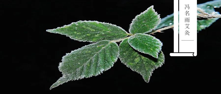 Blood Deficiency: Discover the Causes of Blood Deficiency and Four Acupuncture Points That Are More Effective Than Blood Tonics