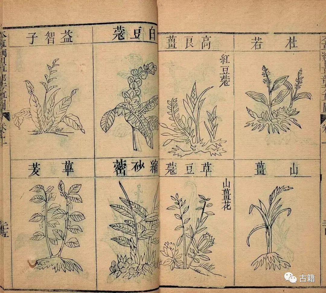 An Overview of the Ming and Qing Editions of the Compendium of Materia Medica