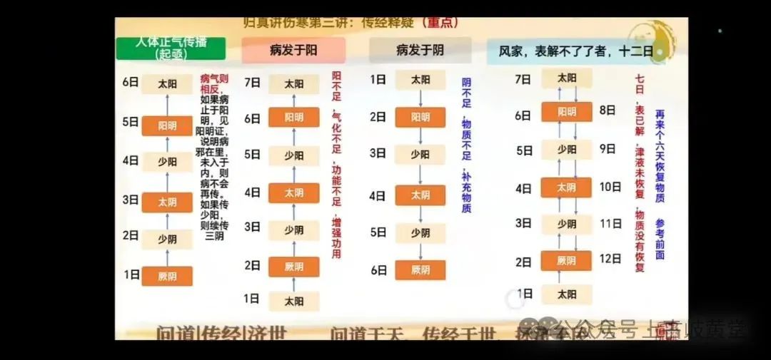 Analysis of the Treatise on Febrile Diseases: Sections 11 to 20 on Gui Zhi Decoction