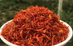 Daily Learning of a Chinese Herb: Hong Hua (Safflower)