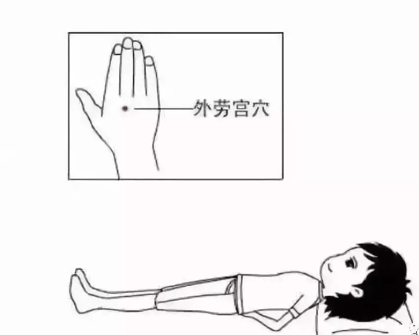 Comprehensive Guide to Nourishing the Five Organs: Heart, Liver, Spleen, Lungs, and Kidneys