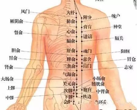 Cupping Therapy on the Back: More Effective than Medication!