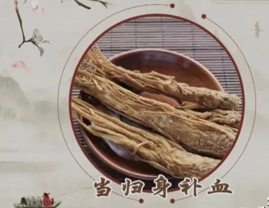 Discussing Angelica Sinensis and the Return Point