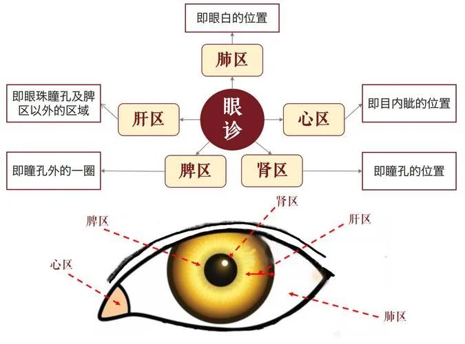 Facial Diagnosis, Eye Diagnosis, Nasal Diagnosis, Ear Diagnosis, Lip Diagnosis, Tongue Diagnosis, and Tooth Diagnosis: A Comprehensive Collection