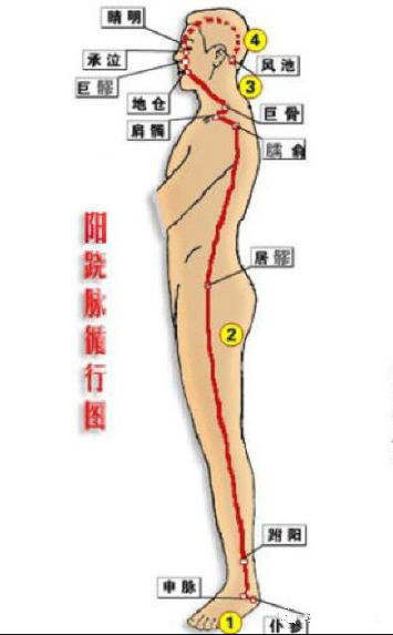 Comprehensive Summary of the Eight Extraordinary Meridians and Their Functions