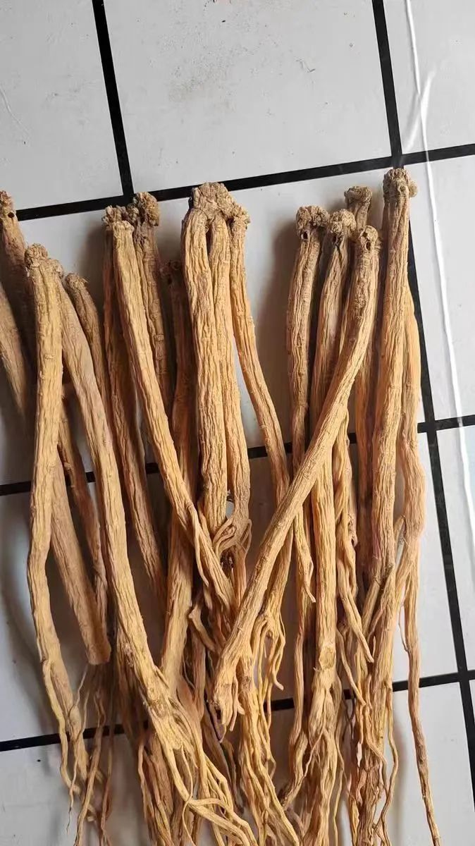 A Detailed Discussion on Dong Shen (Codonopsis pilosula): Uses and Identification