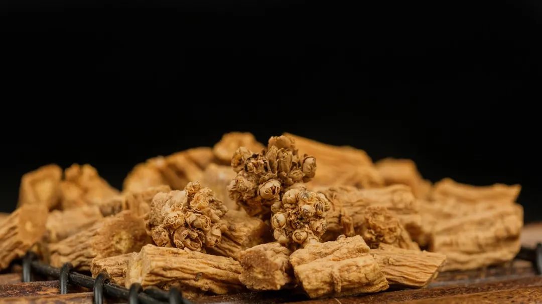 Why Is Codonopsis (Dang Shen) So Widely Used in Modern Times?