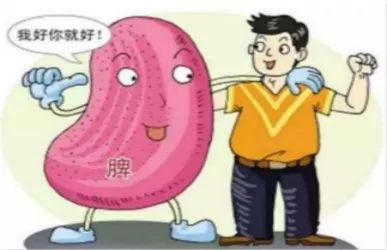 Is Diarrhea Common in Summer? Here's How to Nourish Your Spleen and Stomach...