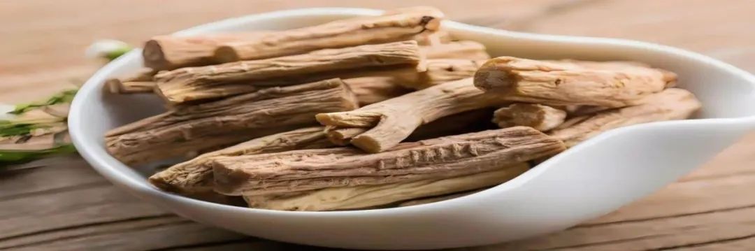 Weekly Discussion on Traditional Chinese Medicine: The Benefits of Dang Shen (Codonopsis pilosula)