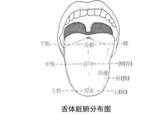 A Series on Tongue Diagnosis