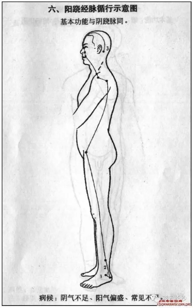 Classic Acupuncture Points: The Eight Extraordinary Meridians